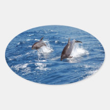 Delphin-Abenteuer Aufkleber