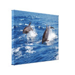 Delphin-Abenteuer Galerie Faltleinwand