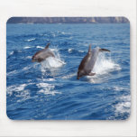Delphin-Abenteuer Mousepad