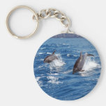 Delphin-Abenteuer Schlüsselbänder