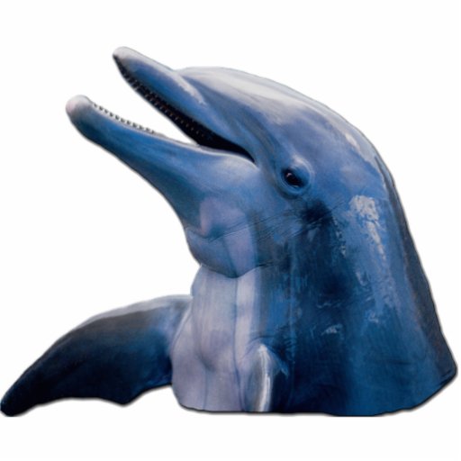 Delphin-Bild-Foto-Skulptur Photo Statue