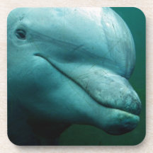 Delphin-Korken-Untersetzer