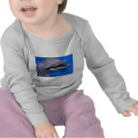 Delphin Shirts