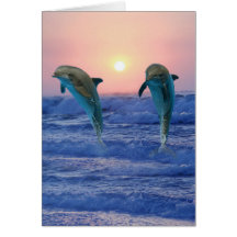 Delphine am Sonnenaufgang Karten