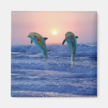 Delphine am Sonnenaufgang Kühlschrankmagnete