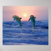 Delphine am Sonnenaufgang Plakatdrucke