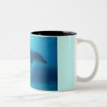DelphinTeacup Haferl