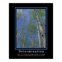 Demotivational Plakat-… Entschlossenheit poster