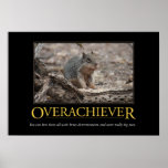 Demotivational Plakat: Erfolgsmensch