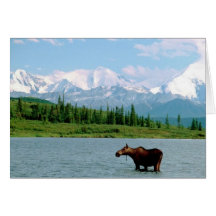 Denali Nationalpark Grußkarten