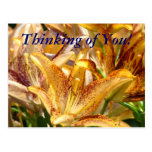 Denken an Sie! Postkarte orange Lilien-Blumen
