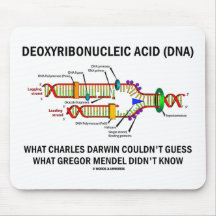 Deoxyribonucelic saurer (DNS) Mendel Darwin Mousepad