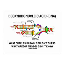 Deoxyribonucelic saurer (DNS) Mendel Darwin Postkarte