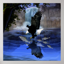 Der Adler und der Wasserfall Plakatdrucke