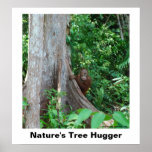 Der Baum Hugger der Natur Plakatdrucke