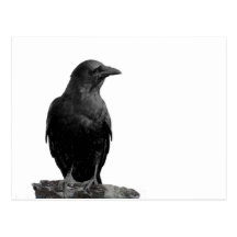 Der Bote Postkarte