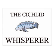 Der CichlidWhisperer Postkarten