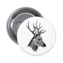 Der große Rotwilddollar Button