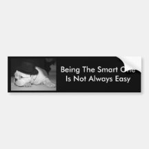 "Der intelligente"… englische Bulldoggen-Welpe Auto Sticker