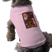 Der kleine Träumer - ZigeunerWahrsager hundekleidung
