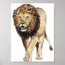 Der König des Dschungels Plakat