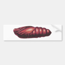Der Kopf-Falke-Motte des Todes Auto Sticker
