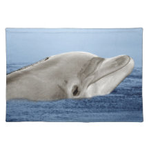 Der lächelnde Delphin Tischset