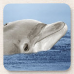 Der lächelnde Delphin Untersetzer