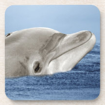 Der lächelnde Delphin Untersetzer