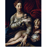Der Madonna der Rose durch Parmigianino Fotoskulptur