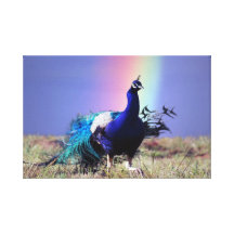 Der Pfau der Freude Galerie Gefaltete Leinwand
