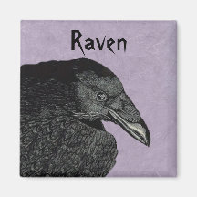 Der Raben-Magnet