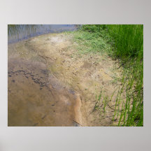 Der Rand des Wassers Plakatdruck