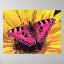 Der Schmetterling ist eine Fliegen-Blume Plakat
