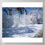 Der Schönheit-Winter der Natur Plakatdruck