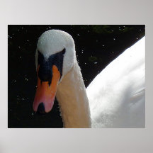 Der Stumme Plakatdrucke