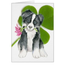 Der Tag Notecard Border-Collie-St.-Paddys Karte