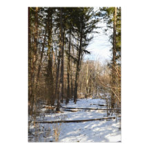 Der Weg eines Winters Fotografischer Druck