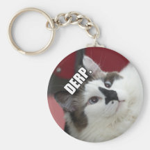 Derp Katze Keychain Schlüsselbänder