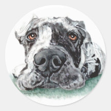 Deutsche Dogge aufgenommen herauf Merle Runder Aufkleber