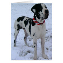 Deutsche Dogge,Weihnachten,Neujahr,lustigesGedicht Karten
