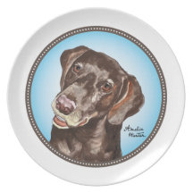 Deutscher Shorthair Zeiger Party Teller