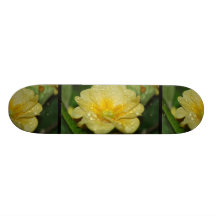 Dew on a Primrose Skate Boards
