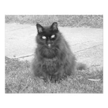 Dezember 2013 - B&W Fotodrucke