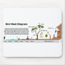 Diagramm der verschiedenen Vogel-Nester Mousepads