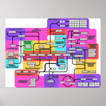 Diagramm des grundlegenden Metabolismus in lebende Plakatdruck