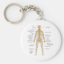 Diagramm des Nervensystems des menschlichen Körper Schlüsselanhänger