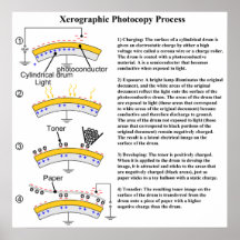 Diagramm des xerographischen Fotokopie-Prozesses Poster