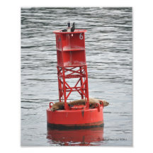 Dichtungen 8X10 auf einer Boje Photodrucke
