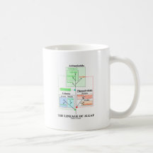 Die Abstammung der Algen Teetasse